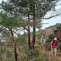 IMG-20240705-WA0001