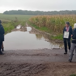 Vallée de la Viosne (95)