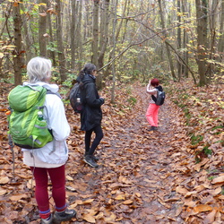 Saint Maurice Montcouronne