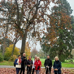 MN du 11 novembre 2024