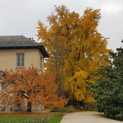 MN du 18 novembre 2024