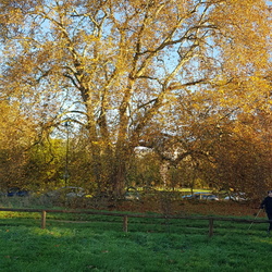 MN du 20 novembre 2024