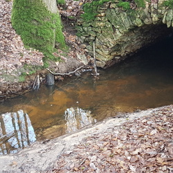 Forêt de Rambouillet, l'Etang de la Tour