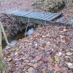 Forêt de Rambouillet, l'Etang de la Tour