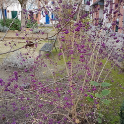 Boucle du Quartier latin
