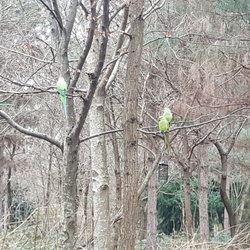 lundi 16 décembre 2024