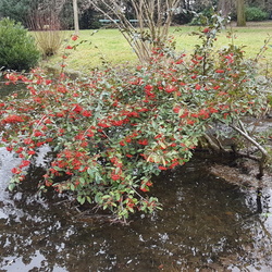 De la Bastille au Bois de Vincennes