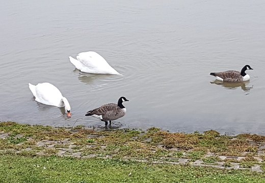 De Conflans à Triel-sur-Seine