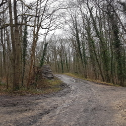 Versailles Chaville Garches