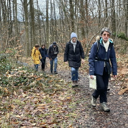 Versailles Chaville Garches