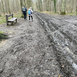 Versailles Chaville Garches