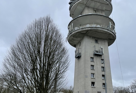 Versailles Chaville Garches