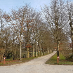Gif-sur-Yvette (91)