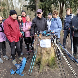 MN du 19 février 2025