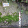 IMG 9687
