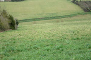 IMG 9693