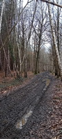 IMG-20250222-WA0017