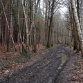 IMG-20250222-WA0017