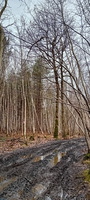 IMG-20250222-WA0018