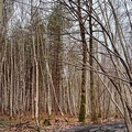 IMG-20250222-WA0018