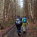IMG-20250222-WA0019