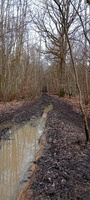 IMG-20250222-WA0021