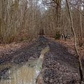 IMG-20250222-WA0021