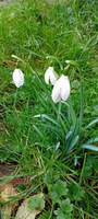 IMG-20250222-WA0022