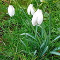 IMG-20250222-WA0022