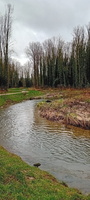 IMG-20250222-WA0024