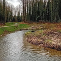 IMG-20250222-WA0024