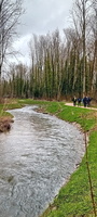 IMG-20250222-WA0026