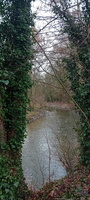 IMG-20250222-WA0028