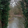 IMG-20250222-WA0028