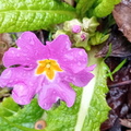 IMG-20250222-WA0029