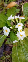 IMG-20250222-WA0030