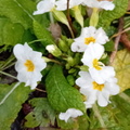 IMG-20250222-WA0030