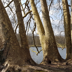 Autour de Chamarande