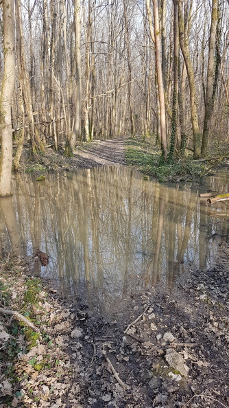 20250301_153503.jpg