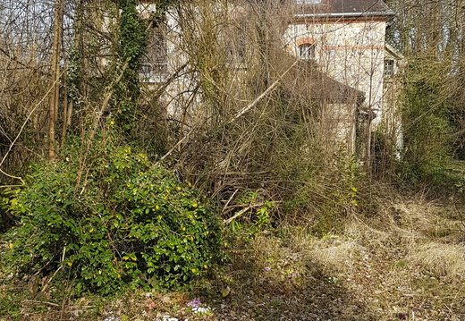 Triel-sur-Seine (78)