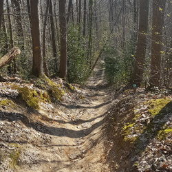 Forêt de Montmorency