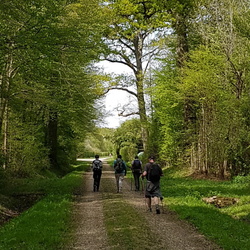 La Brie de Tournan à Roissy-en-Brie