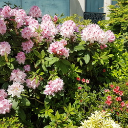 Parcs et forts du 93