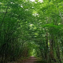 Du Vésinet à Achères