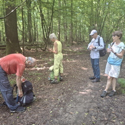 Roissy en Brie, Pontcarré