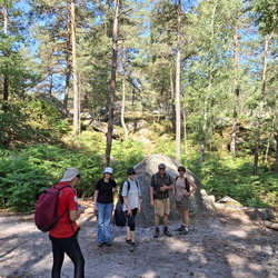 Forêt de Fontainebleau