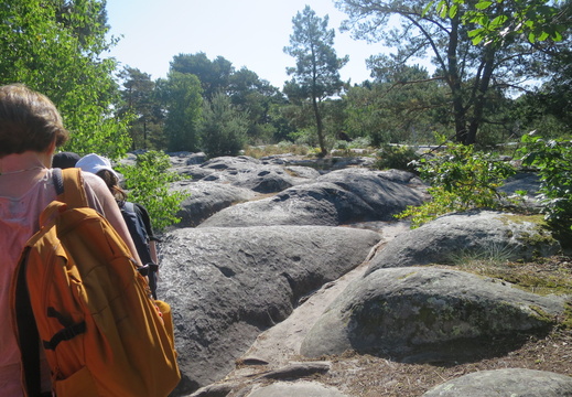 Forêt de Fontainebleau