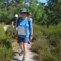 Forêt de Fontainebleau