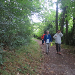 Entre Rhodon et Yvette