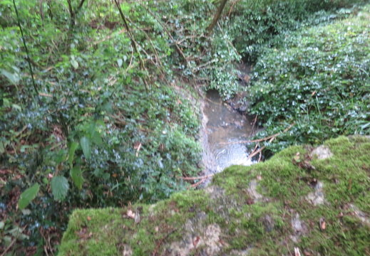 Entre Rhodon et Yvette